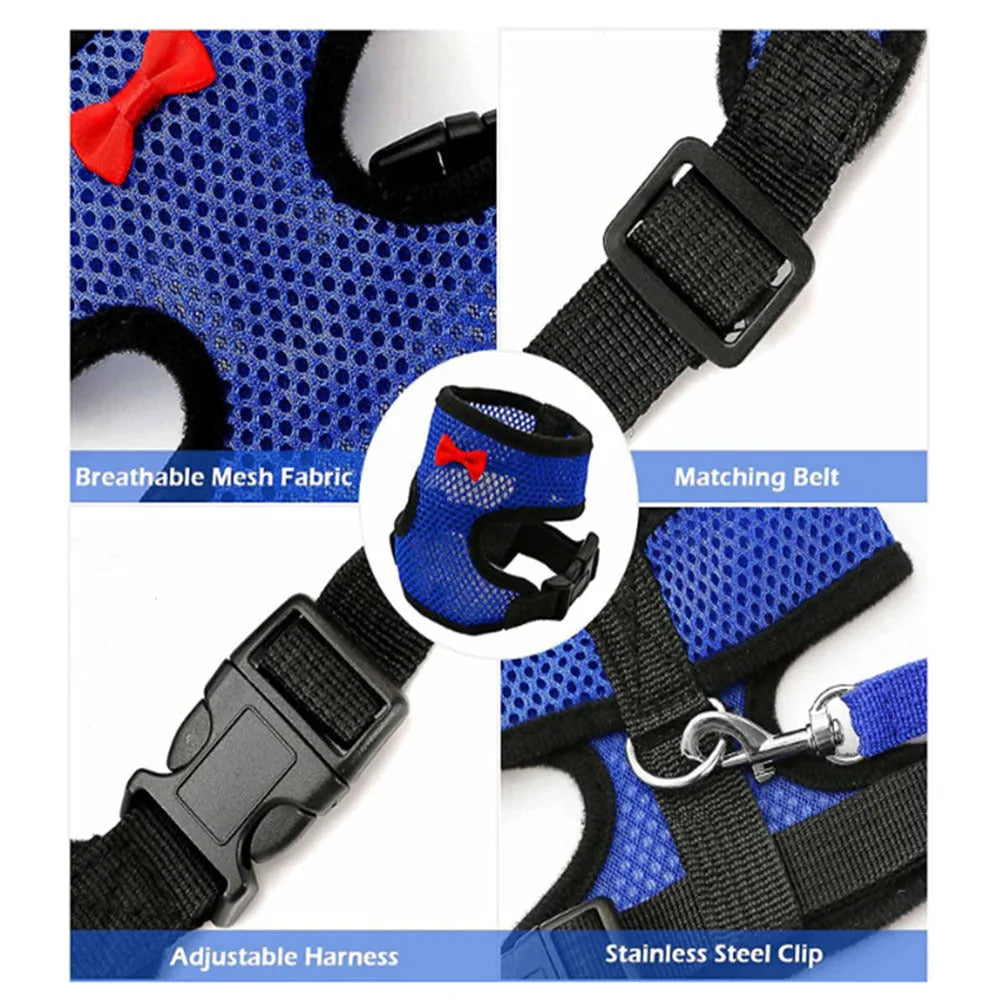 Poultry chicken vest harness with matching collar bow on a size chart showing XS to XL measurements and 110cm rope.