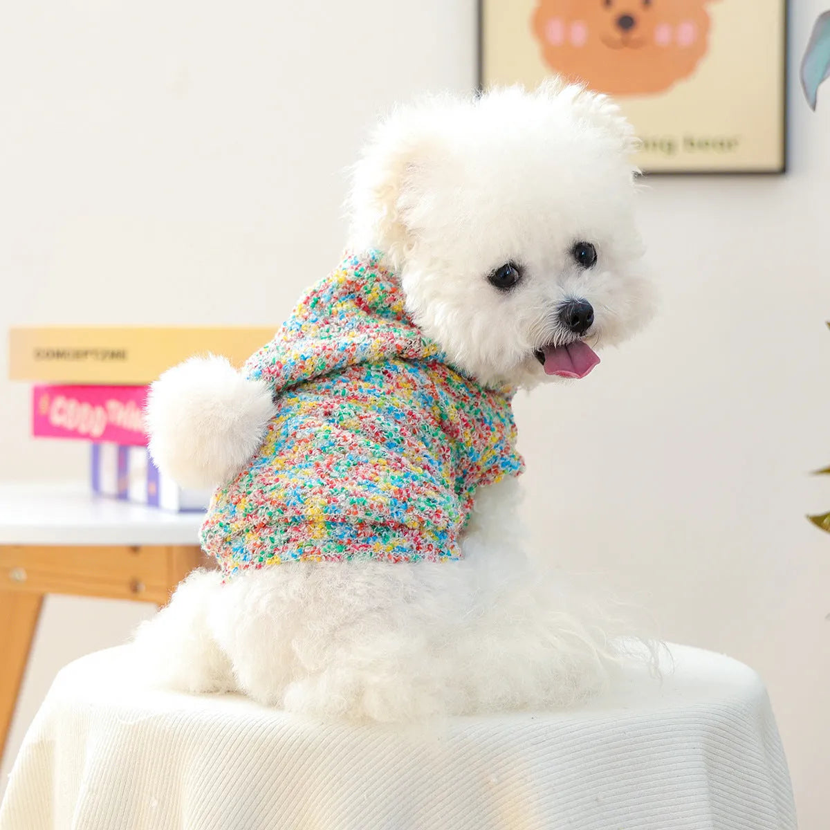 Colourful candy polyester hoodie for small dogs and cats, unisex design