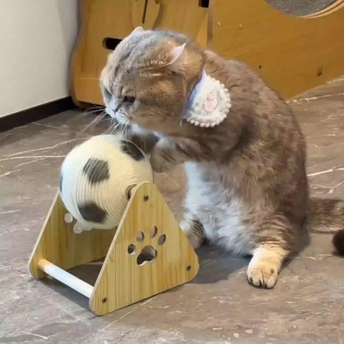 Vertical wooden cat scratching post in football style with solid wood frame and sisal rope surface for claw grinding.