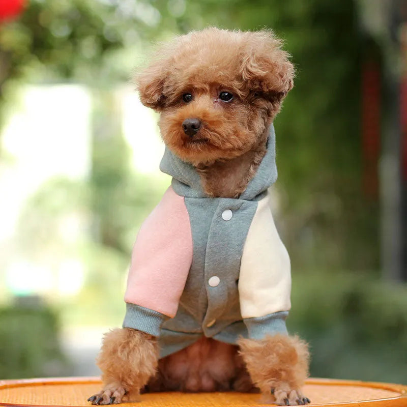 Thickened cotton dog coat for autumn and winter in Coffee, Green, or Pink, sizes XS to 3XL with 20-50cm back length