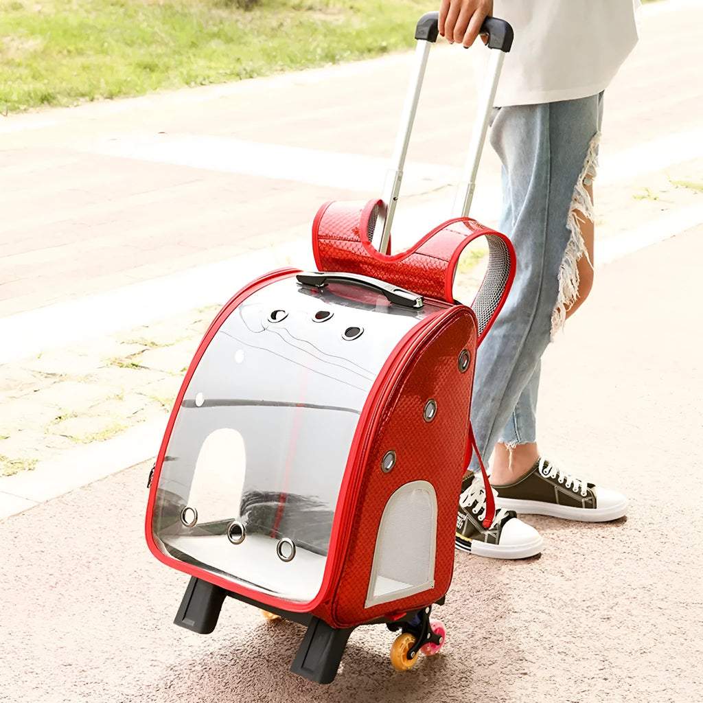 Transparent folding pet trolley shoulder bag for small dogs and cats with 12 Jin capacity