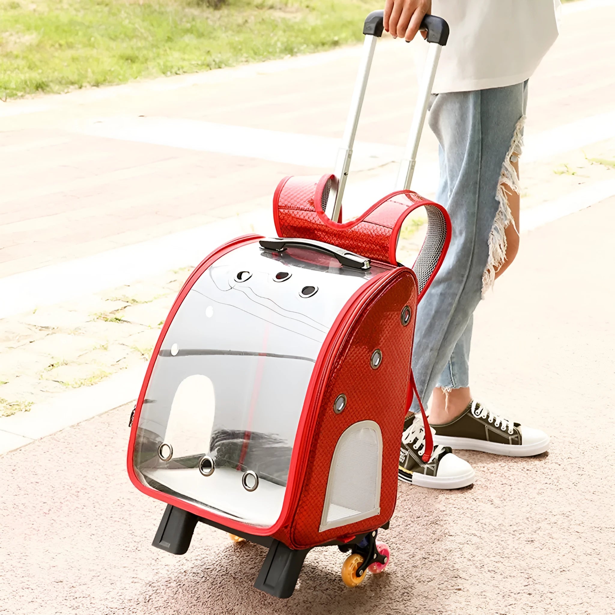 Transparent folding pet trolley shoulder bag for small dogs and cats with 12 Jin capacity