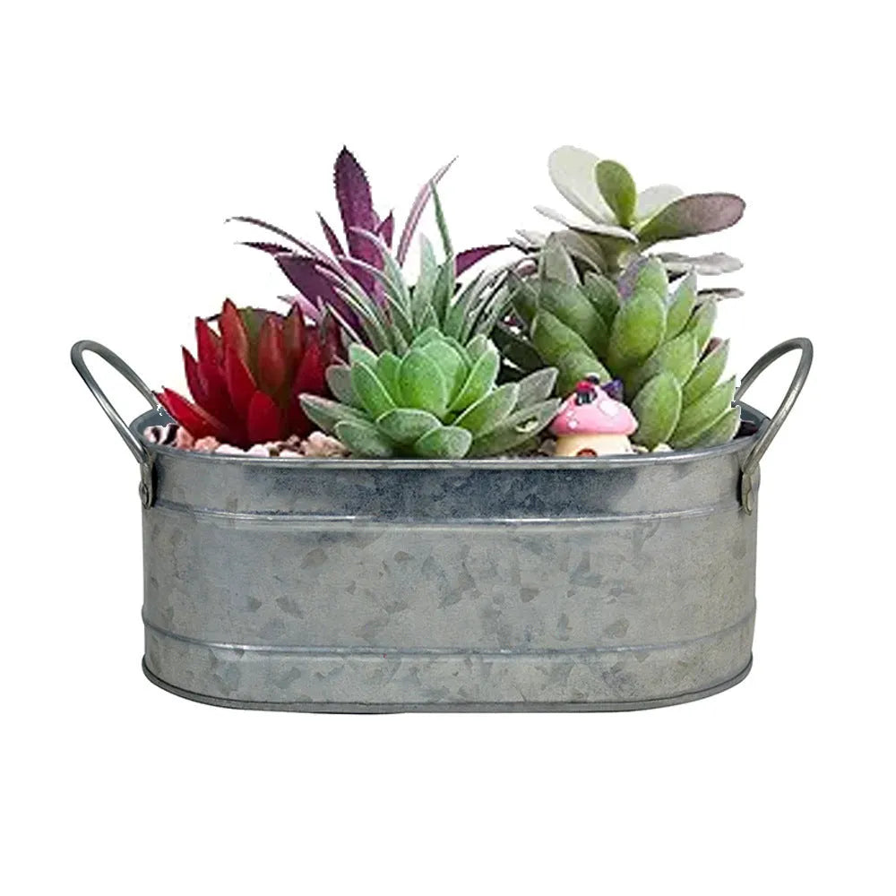 Iron desktop flowerpot for succulents and cacti with corrosion-resistant metal construction