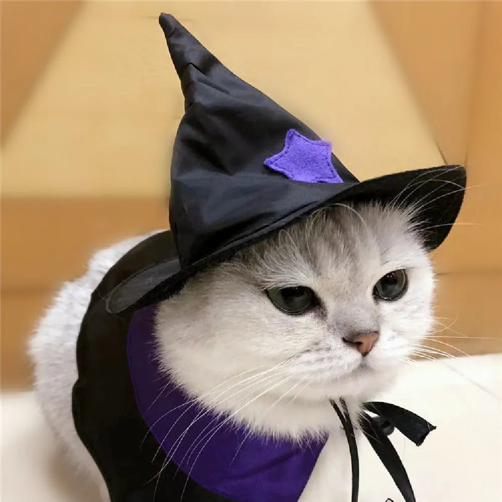 Purple and black satin pet wizard Halloween costume set with cloak and hat for cats and small dogs