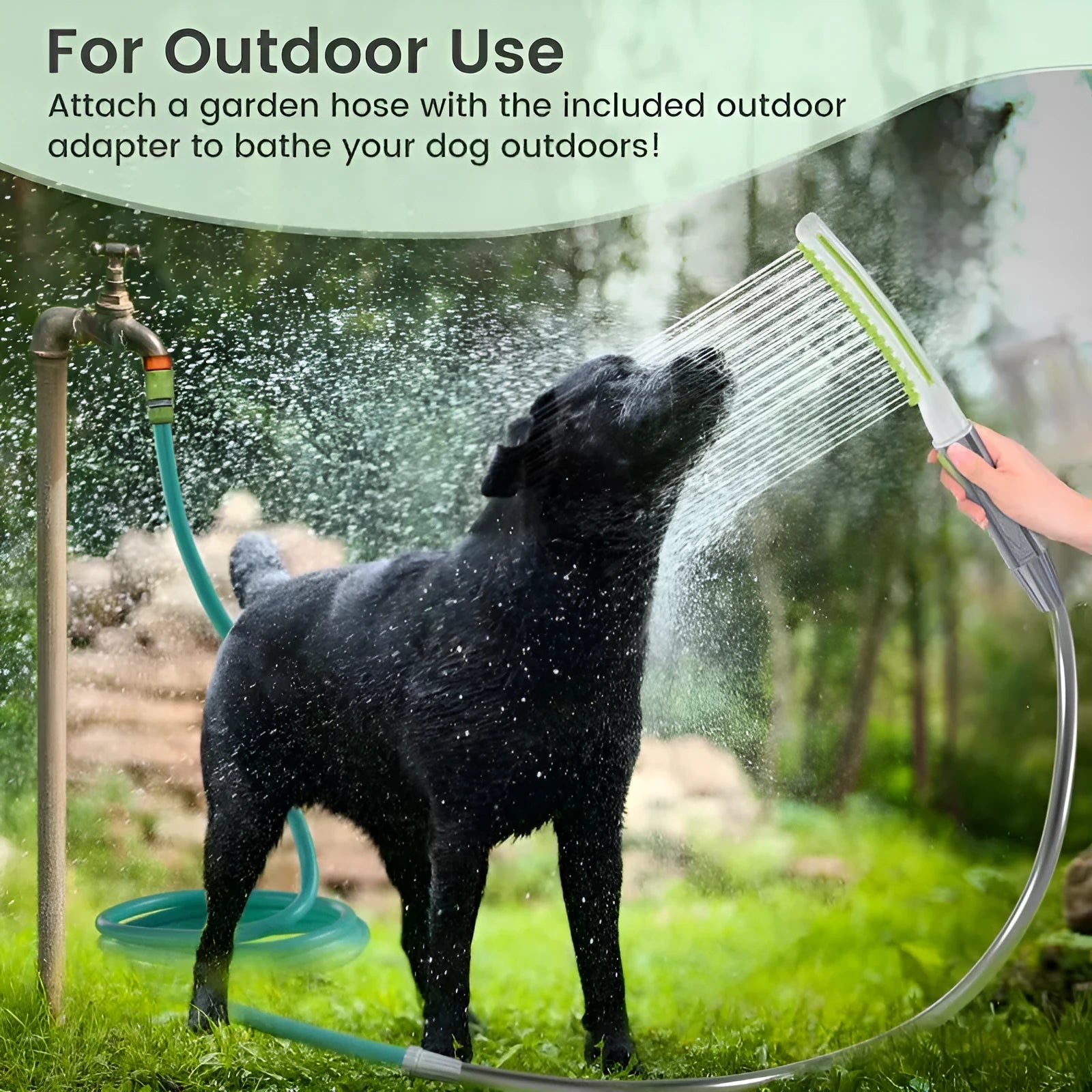 Pet bathing brush showerhead in green and white, made of ABS material, for washing dogs