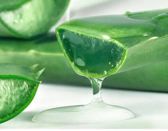 260g aloe gel face cream from Ox Horn Aloe series in white bottle with green label