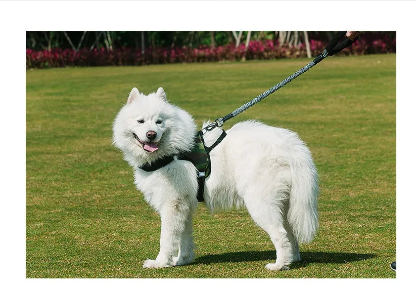 Grey nylon dog leash with chest strap, adjustable 75-150cm length, for small to large dogs