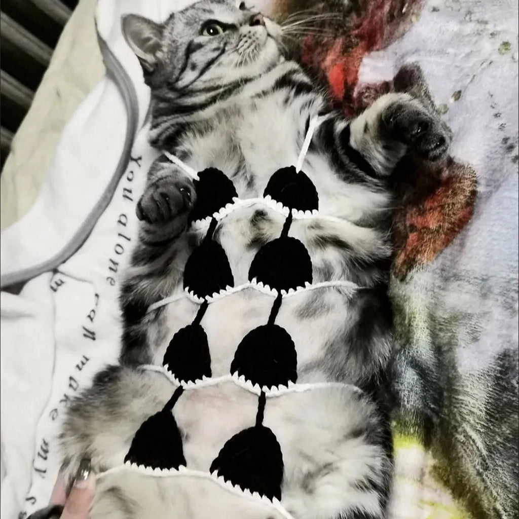 Cat wearing bra and bikini costume set in one of five available colours for Halloween or festival events