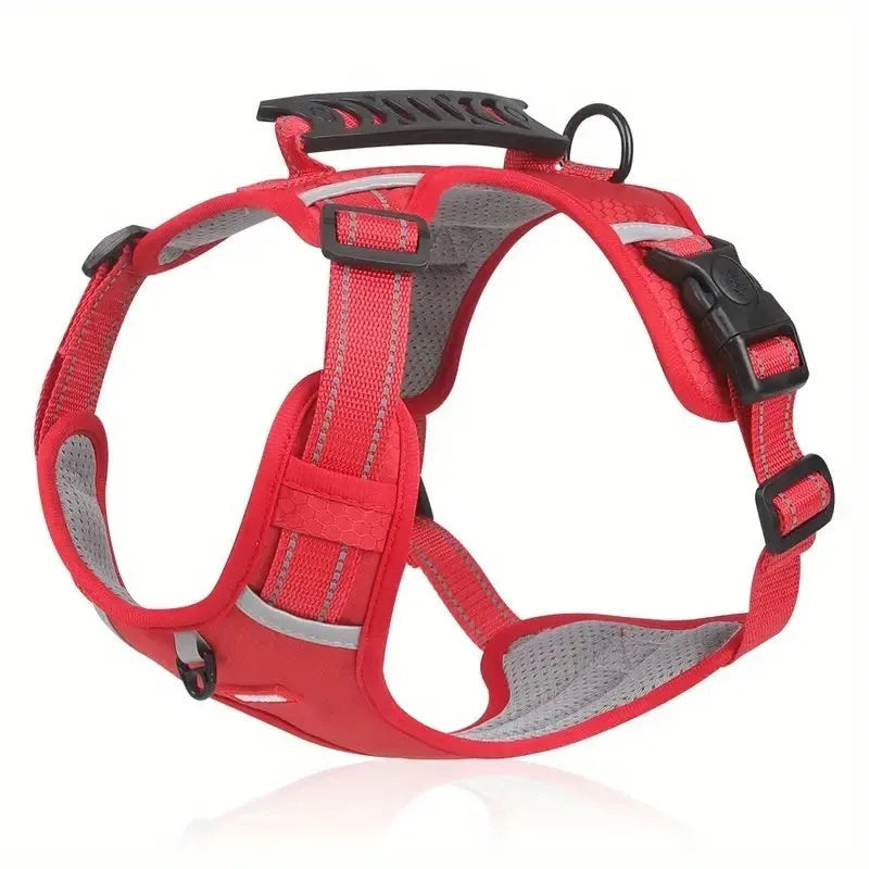 Polyester dog harness lead with a chest strap shown in multiple colours on a neutral background.