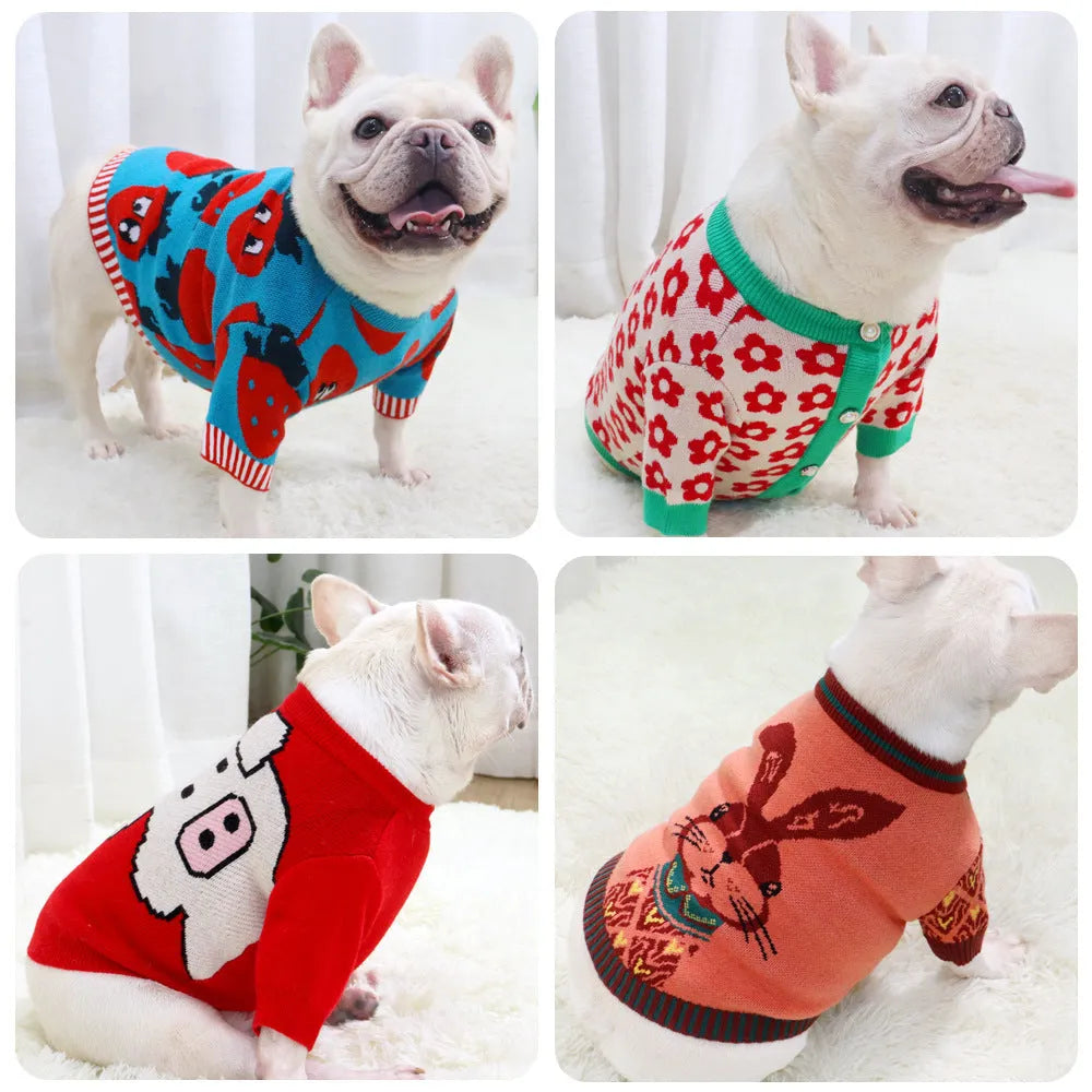 Wool dog jumper with cartoon jarre aero bull design in autumn and winter styles including rabbit and strawberry patterns