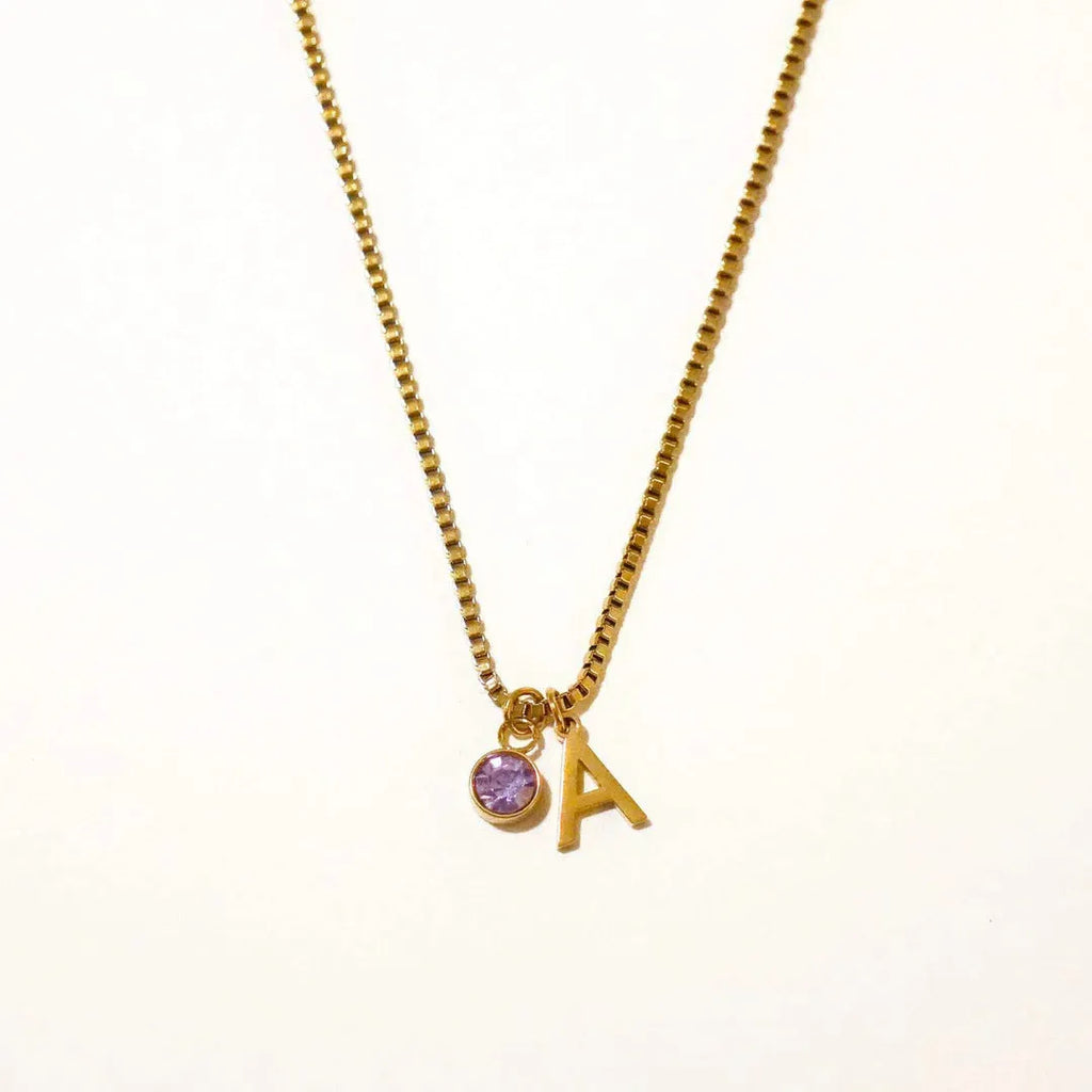 Stainless Steel Birthstone First Letter Necklace Personalised Gold or Silver Initial Pendant with O-Ring Chain and Electroplated Finish for Monthly Birthstone Customisation Jewellery Gift Options A B C D