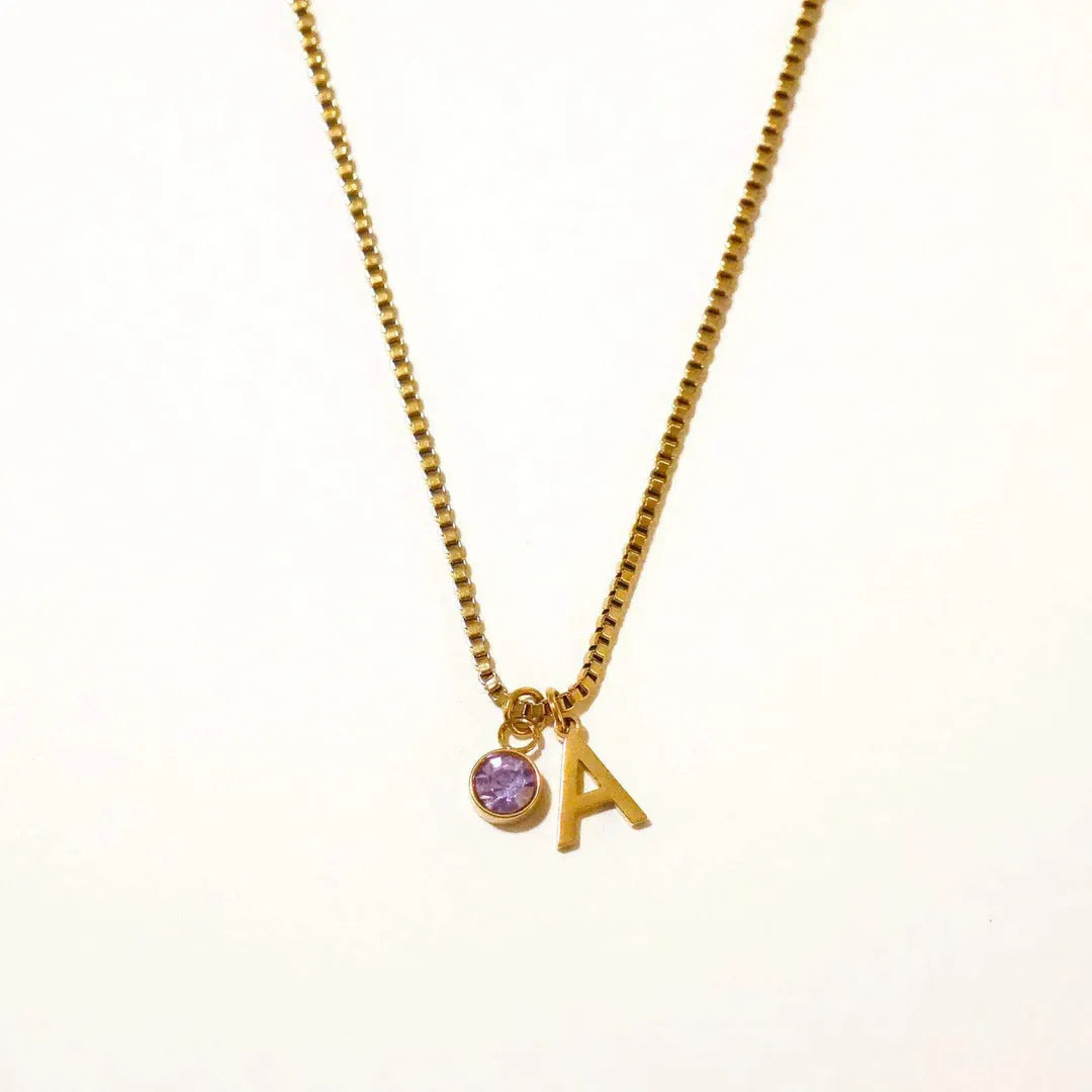Stainless Steel Birthstone First Letter Necklace Personalised Gold or Silver Initial Pendant with O-Ring Chain and Electroplated Finish for Monthly Birthstone Customisation Jewellery Gift Options A B C D