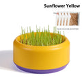 Hydroponic cat grass growing kit with a coloured plastic cup and five packs of wheatgrass seeds