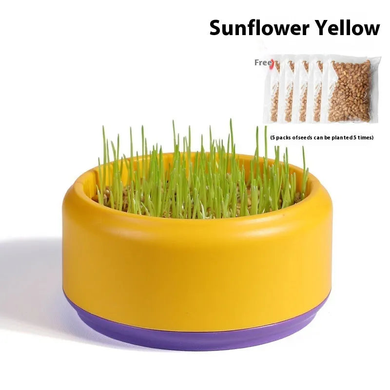 Hydroponic cat grass growing kit with a coloured plastic cup and five packs of wheatgrass seeds