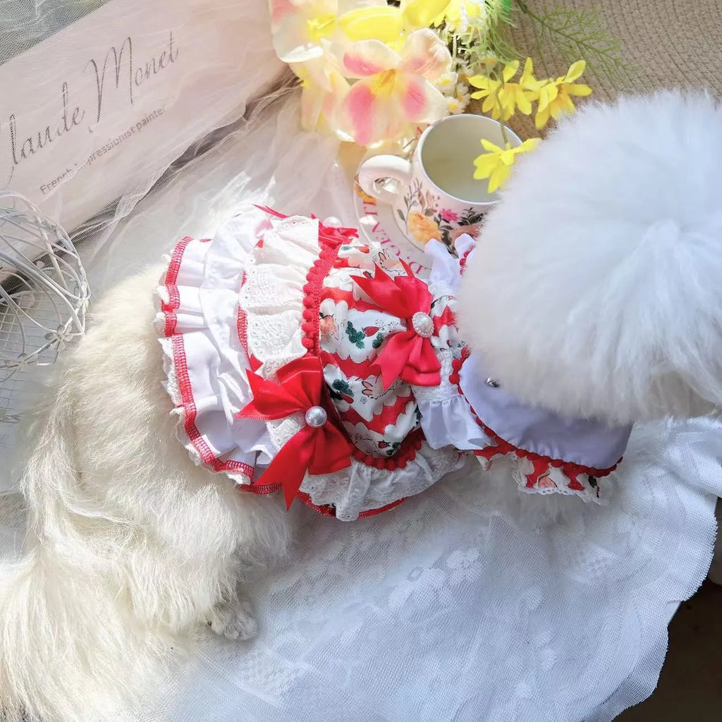 Rabbit design princess style polyester skirt for a small dog showing size guide.