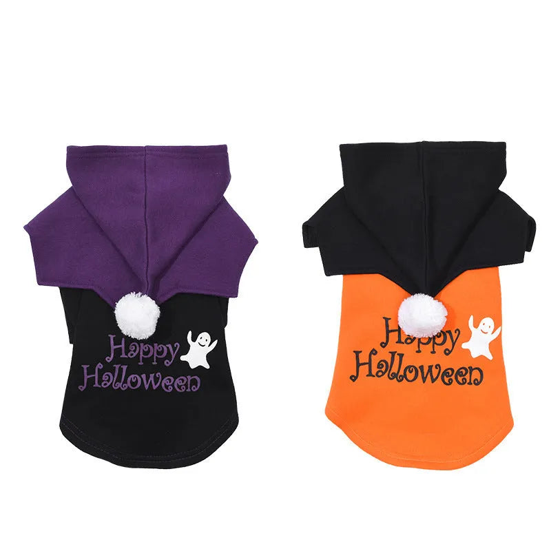 Halloween pumpkin dog costume with black and orange two-piece sweater and shawl