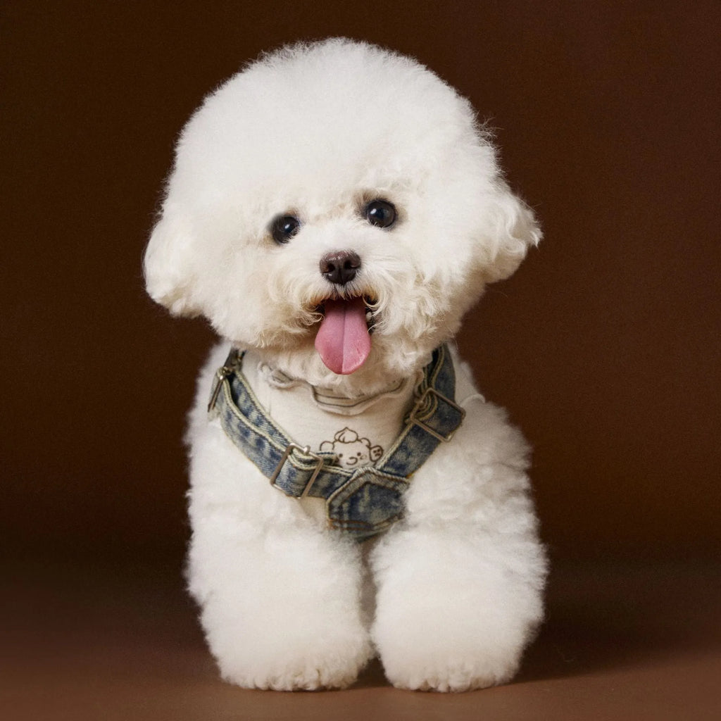 Dog wearing denim suspender skirt sleeveless cotton pet clothing for small and medium breeds
