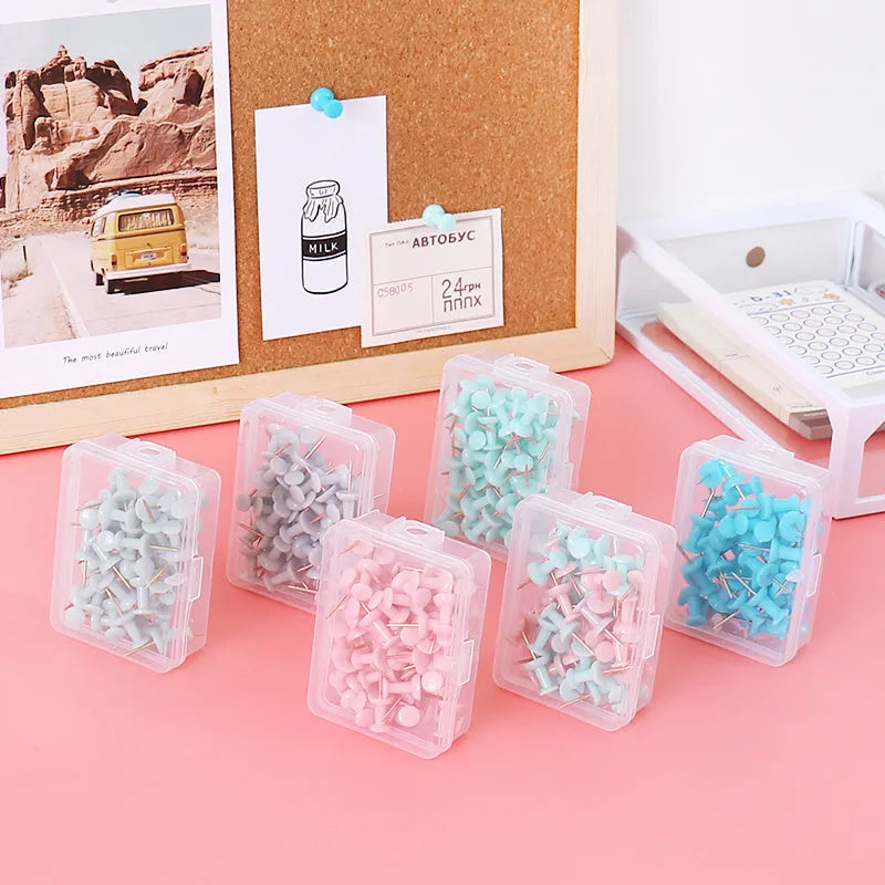 Morandi colour push pins set of 50 with three different pin head designs on cork board