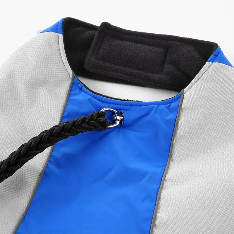Reflective polyester dog coat in blue for large breeds, shown on a dog with safety strips visible