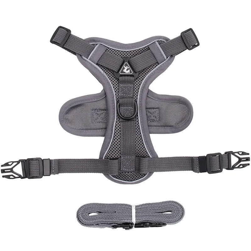 Cat anti-breakaway chest harness and 1.5-metre flat rope set in six colour options for cats 4.5-22+ jins