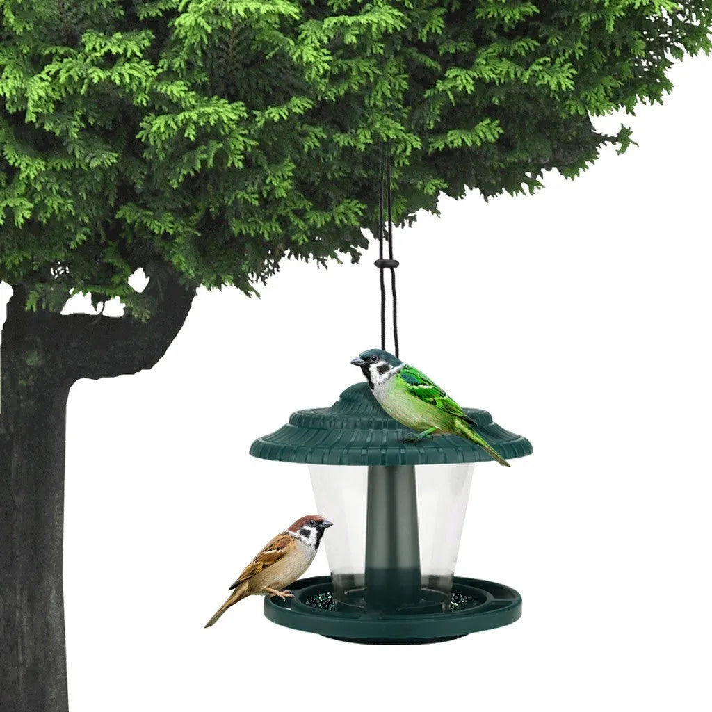 Plastic transparent hanging bird feeder with green colour option for outdoor garden use