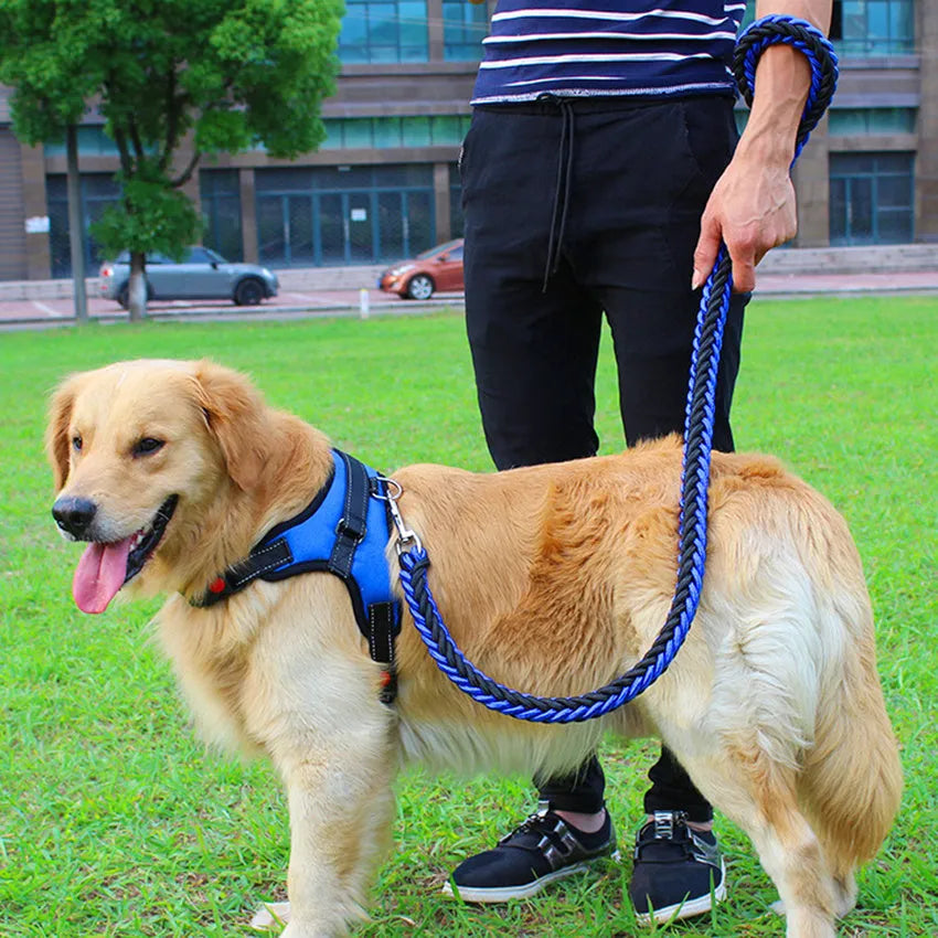 Dog leash chest strap in black with strong nylon material and breathable mesh padding