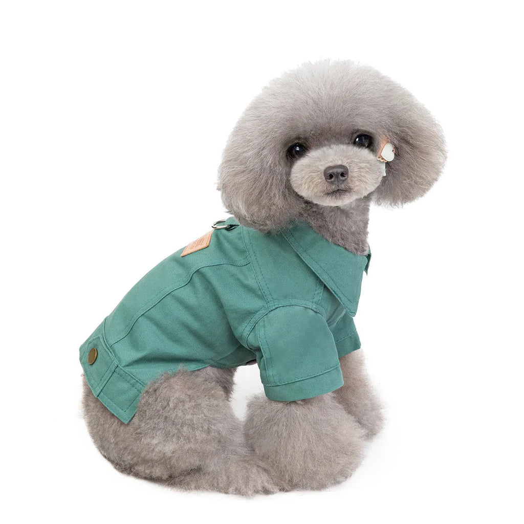 Two-leg cotton pet outfit in blue, yellow, or green, sizes S to XXL with back length, bust, and collar measurements.