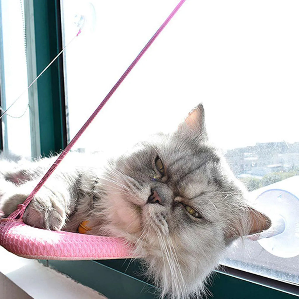 Black pet hammock with suction cups attached to a window, 53x32 cm, breathable mesh fabric
