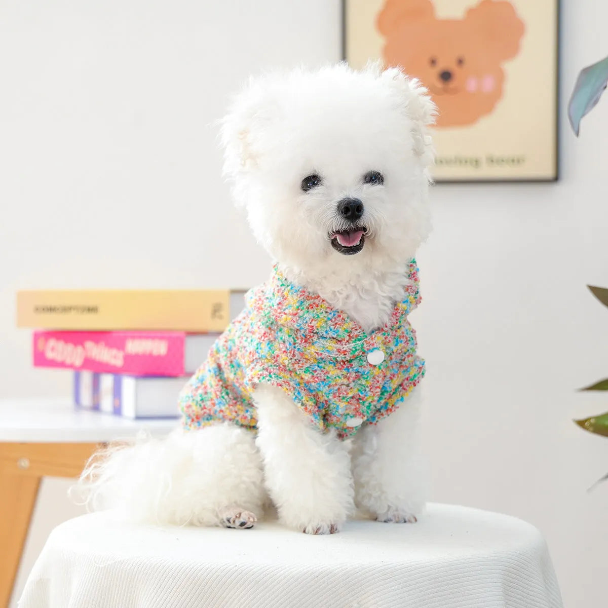 Colourful candy polyester hoodie for small dogs and cats, unisex design