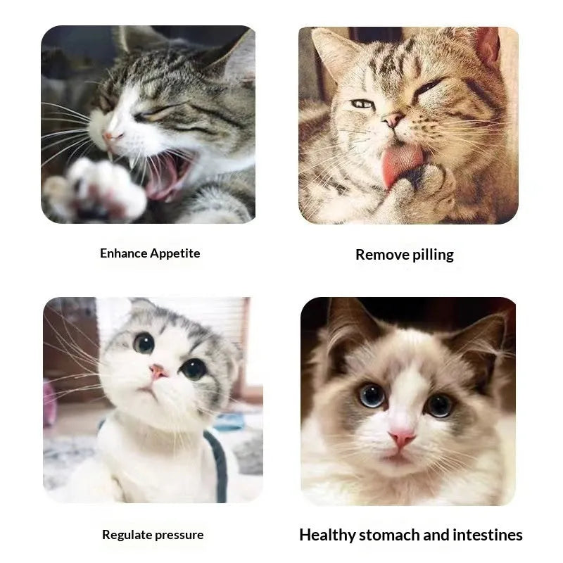 Catnip cat snack in a 1g bag, featuring mint powder for hairball removal and oral cleaning
