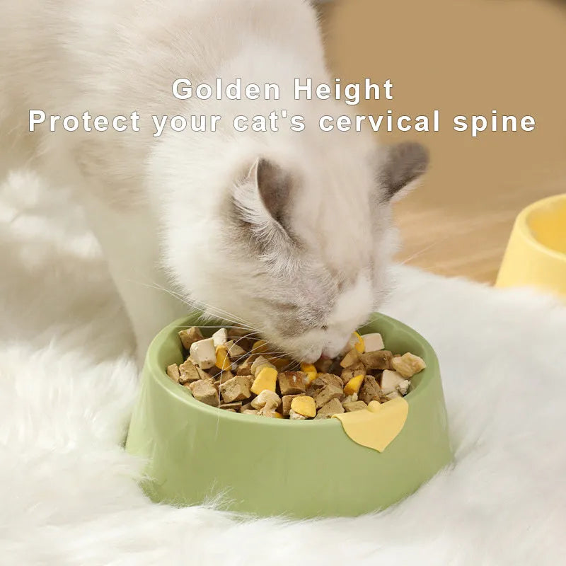 Green plastic double pet bowl for dog and cat food and water on a white background