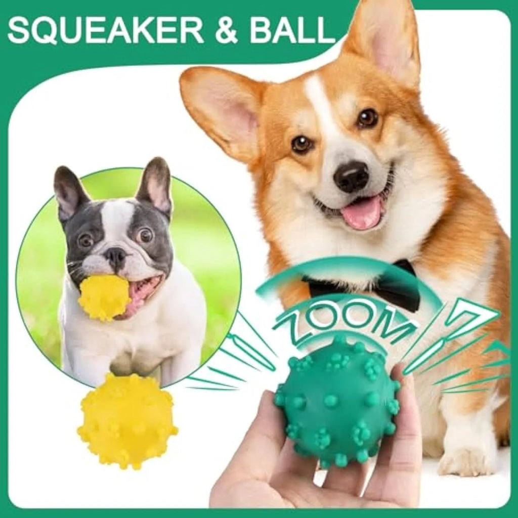 Four brightly coloured spiky dog toy balls with paw-print dimples, shown next to a small dog.