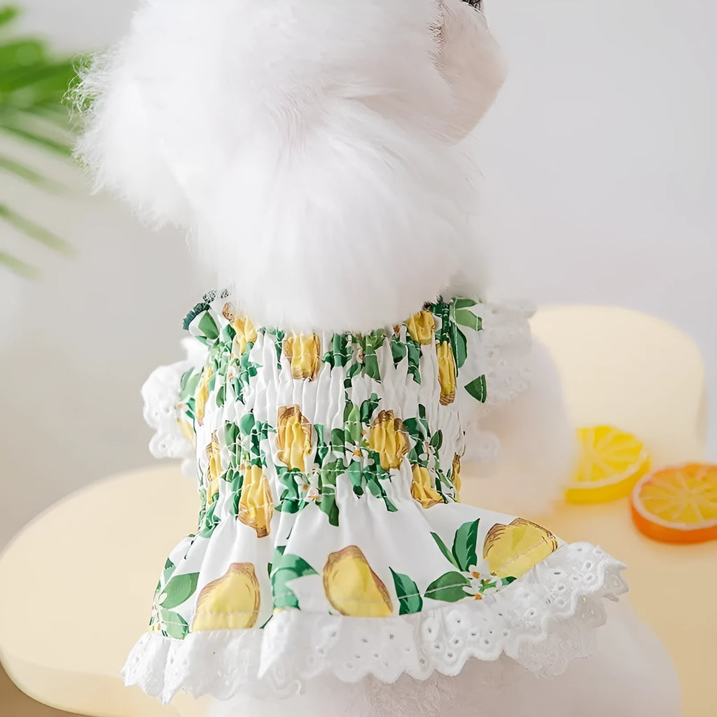 Rock yellow lemon polyester dog skirt with thin breathable straps princess style