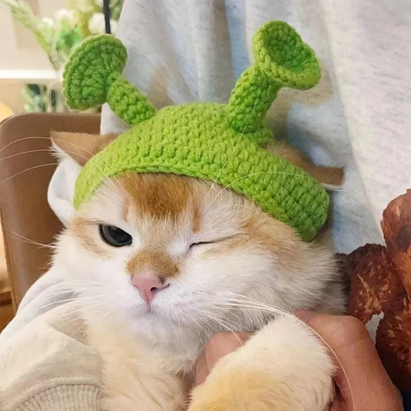 Handmade knitted green acrylic hat for small cat or dog, average size, casual style