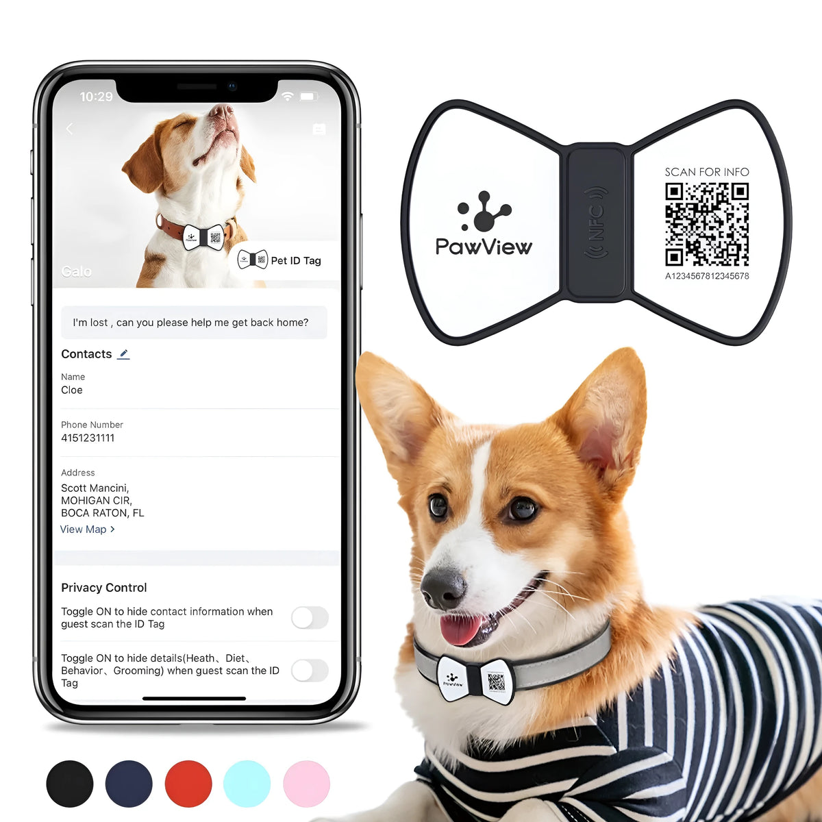 NFC smart QR pet tag in black silicone with printed bowknot pattern, attached to a matching collar on a light background