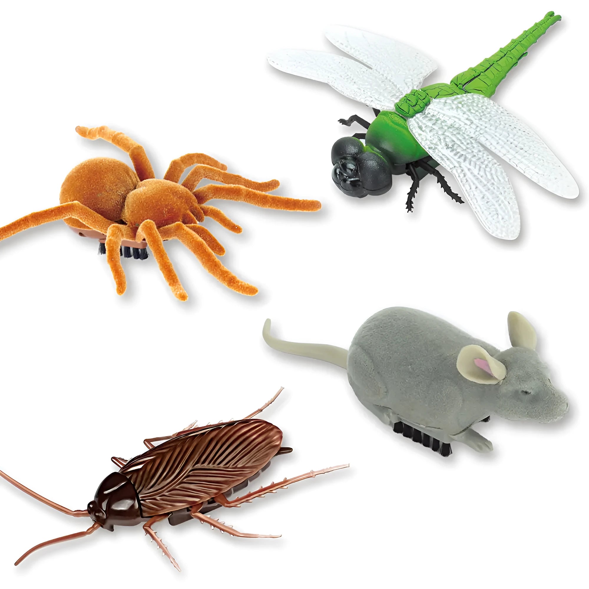 Electric vibration brush walking toy for pets in insect simulation designs