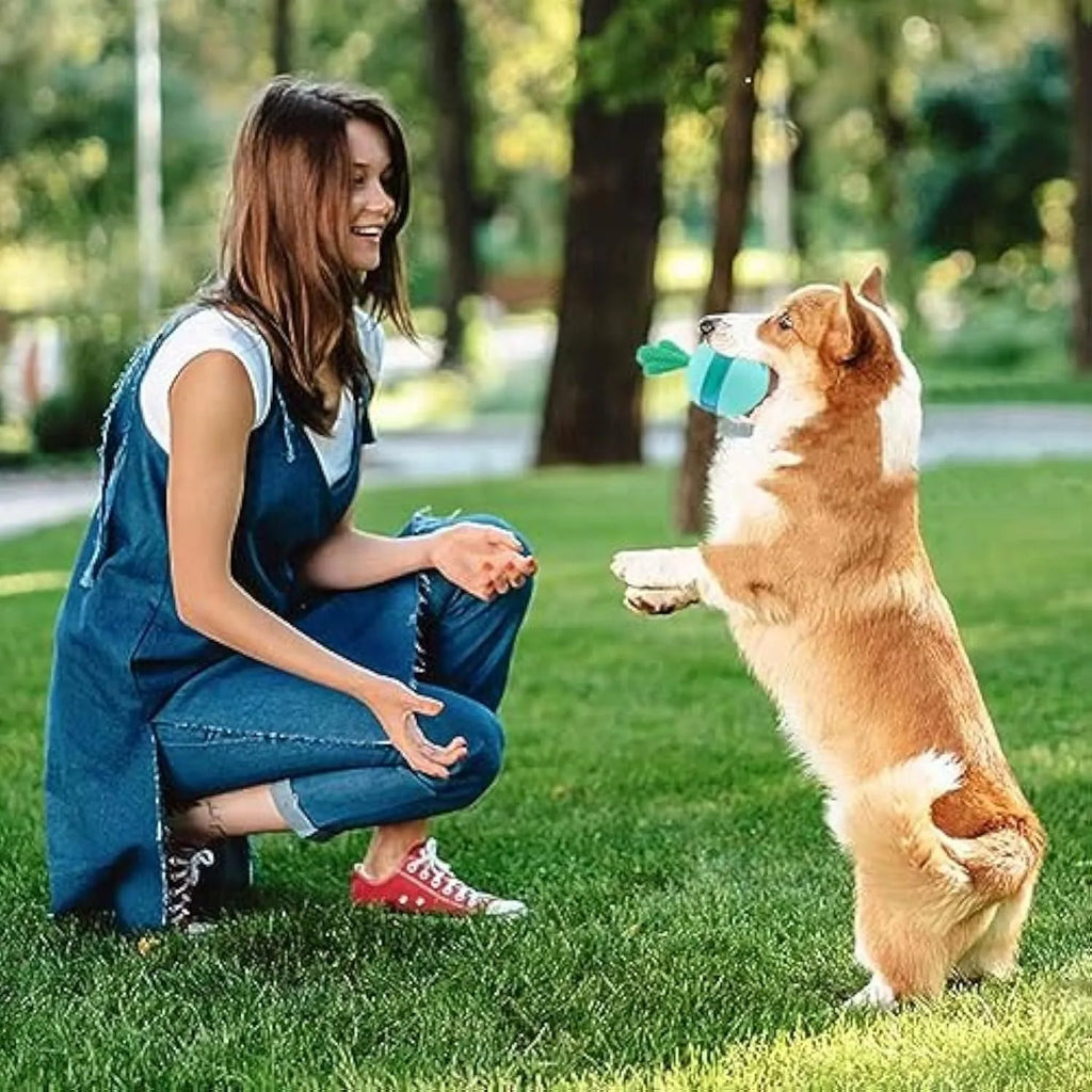 Blue durable rubber treat dispensing tumbler ball toy for medium large dogs