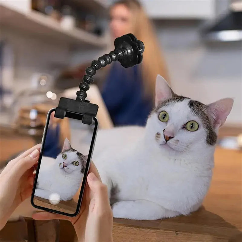 Black pet selfie stick with rotating snack clip attached to mobile phone for animal photography
