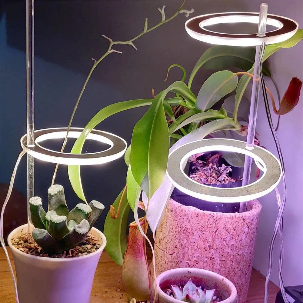 USB Angel Ring LED full spectrum grow light for indoor plants on a desk.