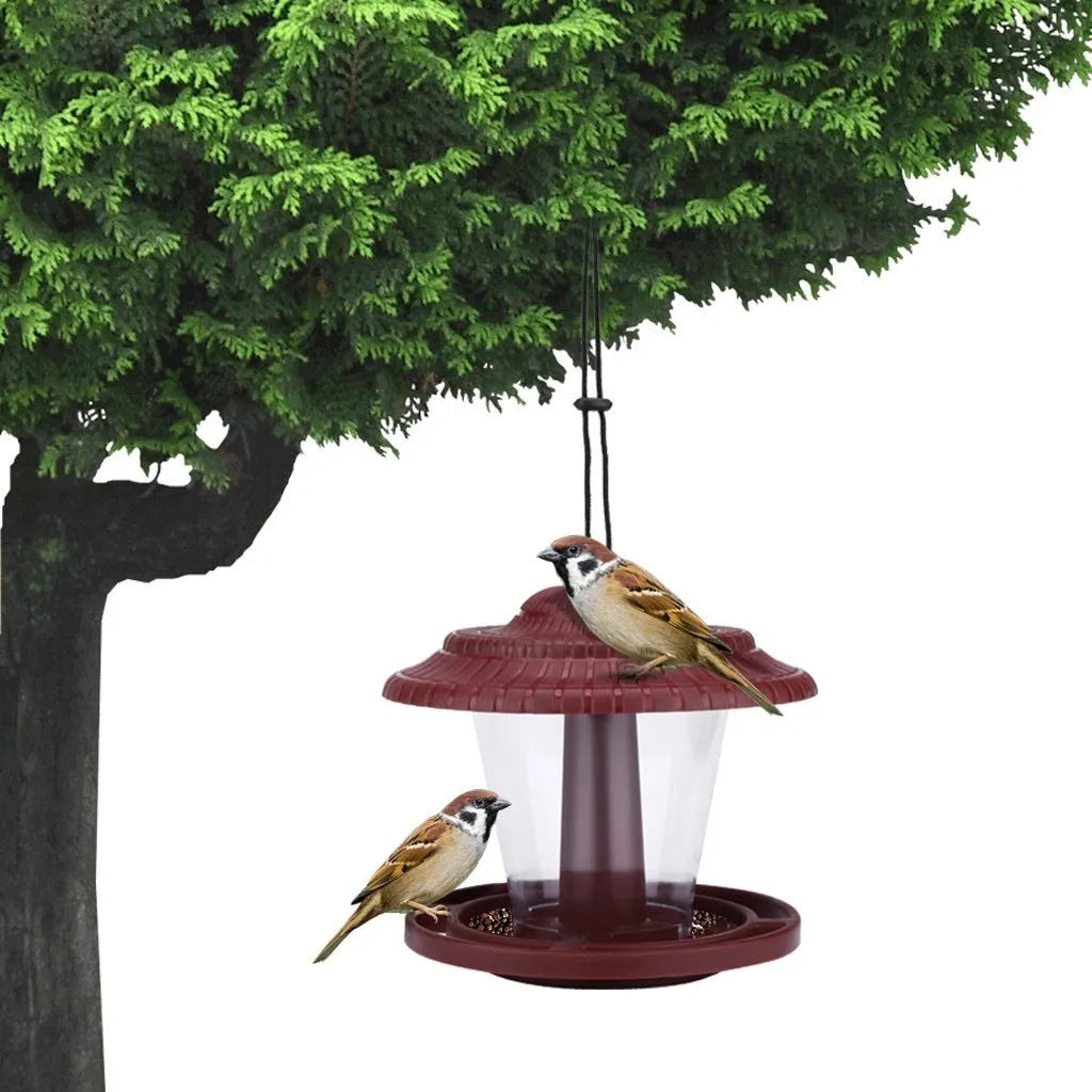 Plastic transparent hanging bird feeder with green colour option for outdoor garden use