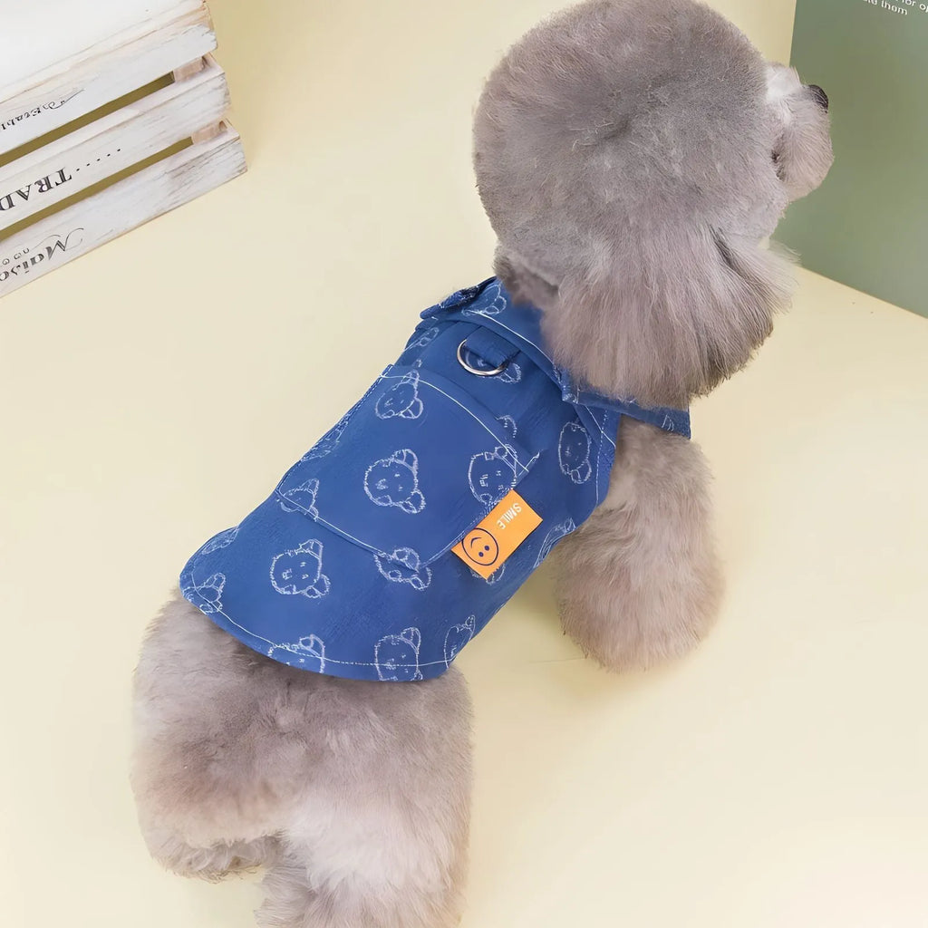 Teddy Bichon wearing denim princess dress with bracket-skirt design, small dog spring clothing