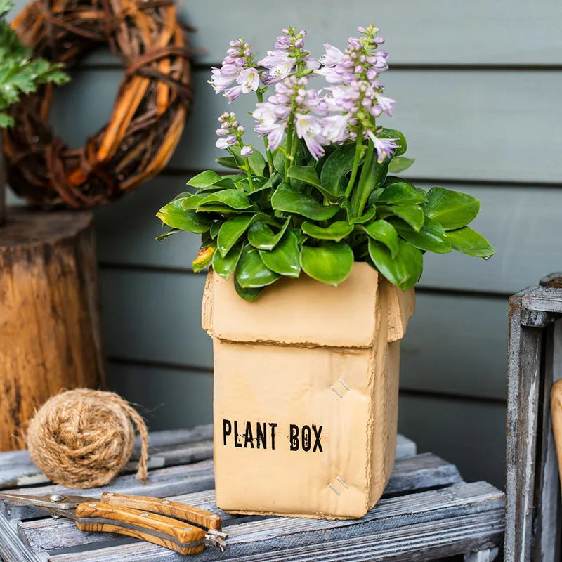 Cement brown paper box style flowerpot with bottom drainage holes for indoor planting