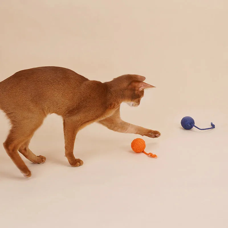 Cat toy set with blue and green teaser stick, red and yellow catnip balls, and a tumbling pet on a white background