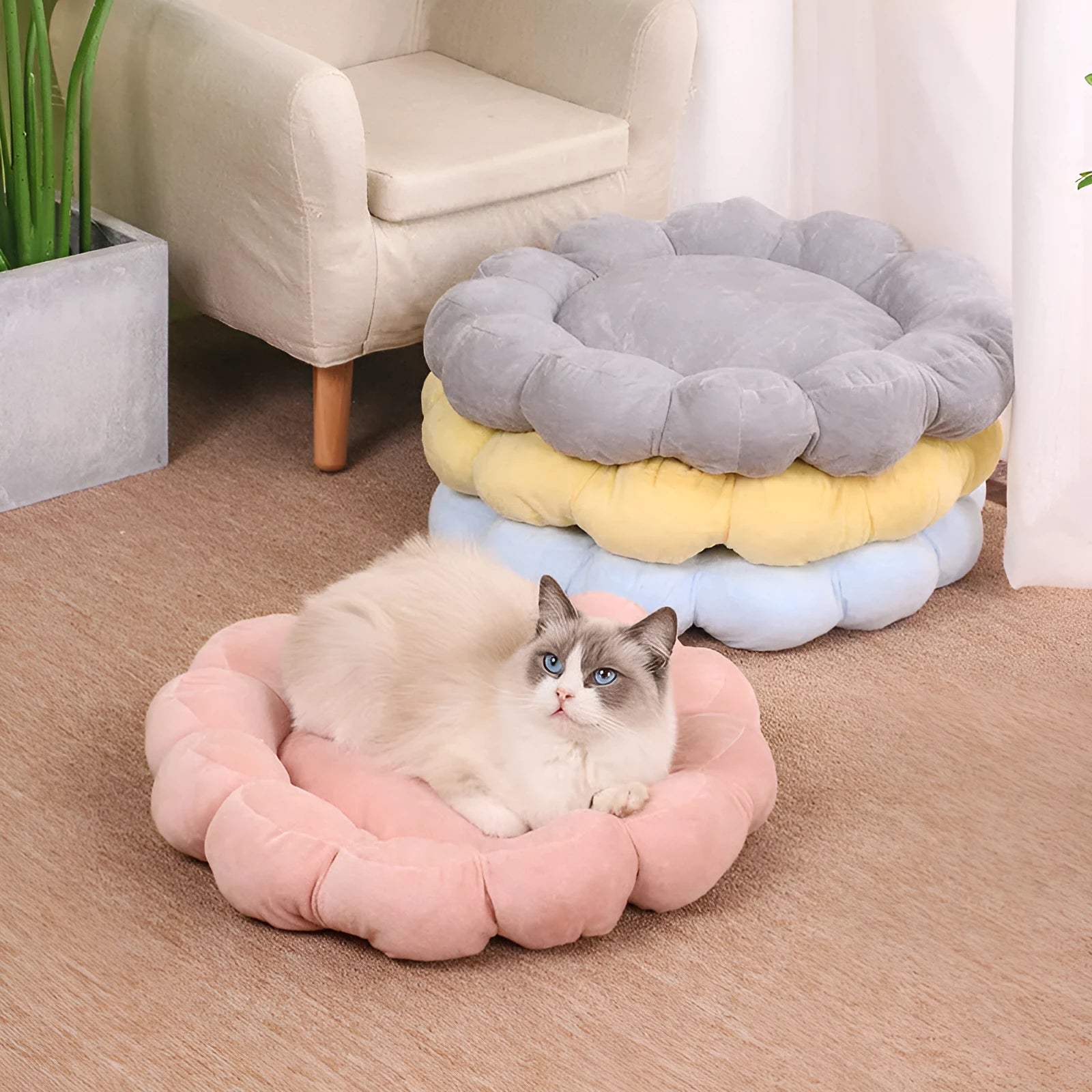 Blue half-surrounded plush pet bed with petal pattern, measuring 50x50cm, for dogs and cats.