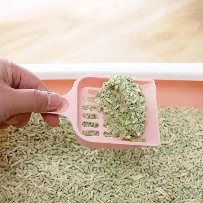 Blue plastic cat litter scoop with dimensions 20cm long, shown on a white background.