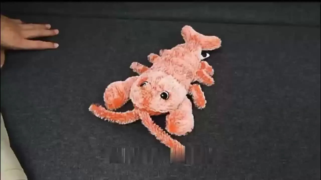 USB rechargeable plush lobster cat toy with motion sensor and catnip pocket on floor