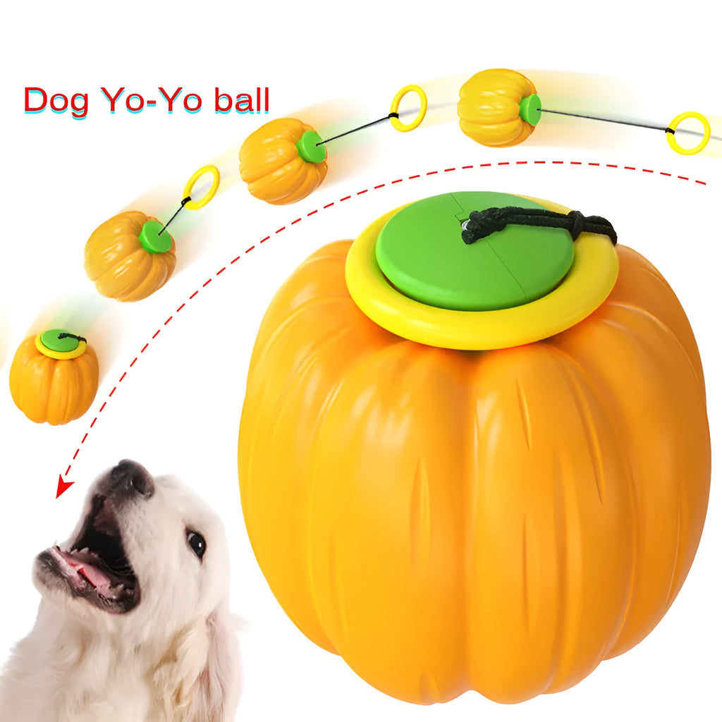 Orange pumpkin-shaped dog chew toy with squeaker for small dogs on green background