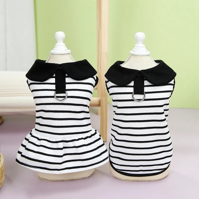 Summer stripes cotton t-shirt and skirt set for dogs in coordinated pet clothing