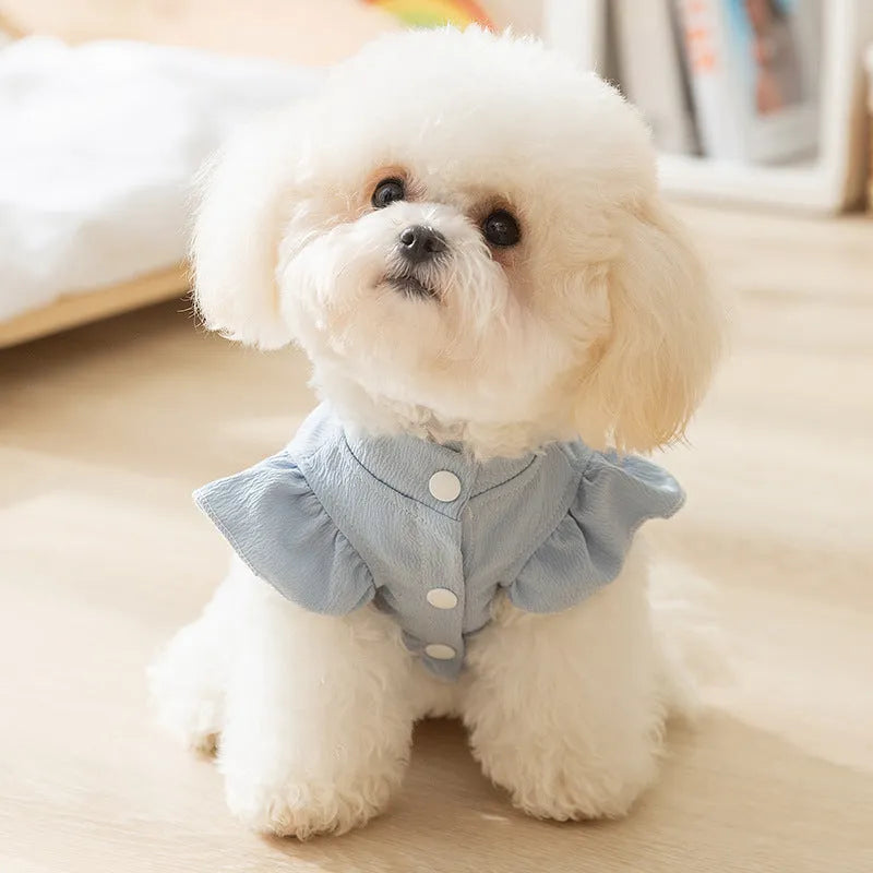 Solid colour polyester dog vest with flying sleeves in Bondi Blue on a small dog