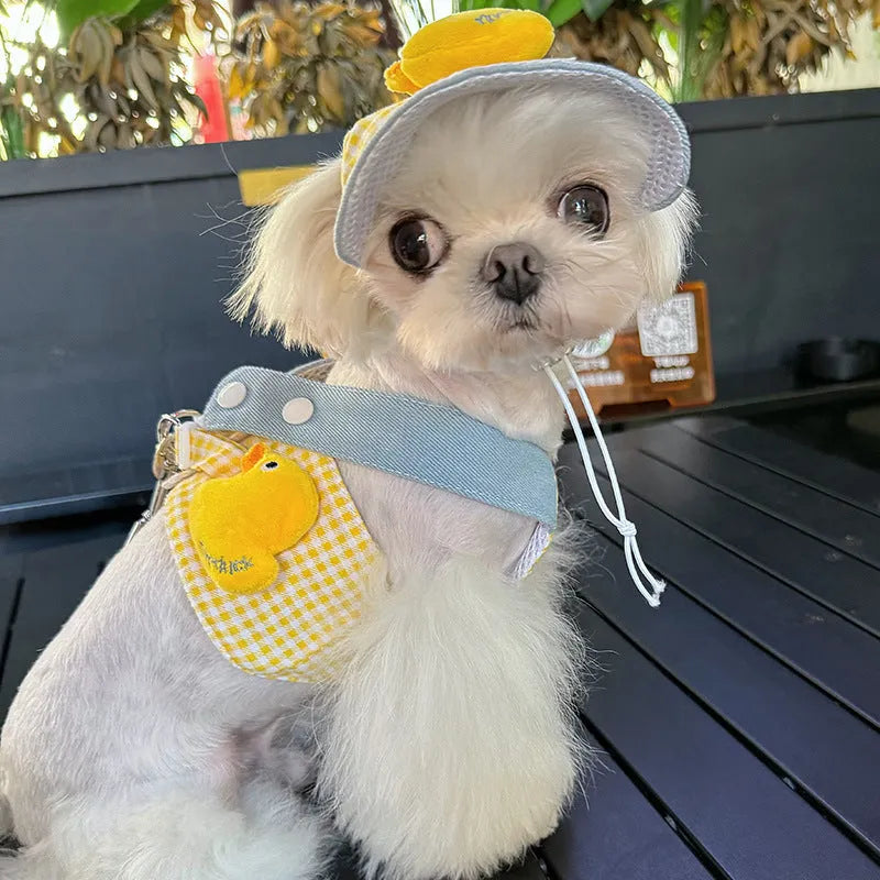 Three-piece cat harness and leash set with a wire rope pulling toy and a cute hat.